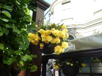 Baltikum, Lettland, Riga, Jugendstilviertel