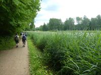 Baltikum, Lettland, Gauja Nationalpark