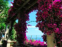 Monaco- kakteengarten 