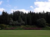 37_Park Sigurta
