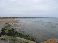 am Strand von Ardmore