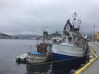 Kristiansund 