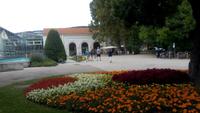 Baden, Stadtführung - Römertherme