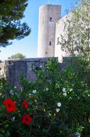 Mallorca - Belvedere-Festung