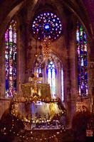 Mallorca - Kathedrale