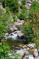 Prunelli-Schlucht - Korsika