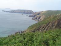 Sark