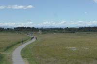 085-Culloden_Battlefield