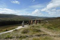 109-Fotostopp_Cargaff