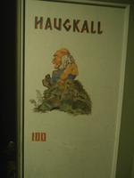 Elveseter  Zimmertüren