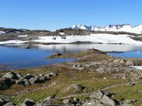 Fantesteinen im Sognefjell