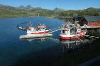 Lofoten