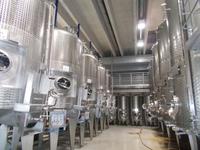 DSCN1423  Weinkeller