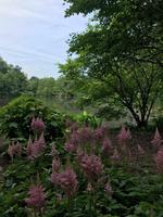 Central Park