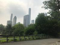 Rikscha-Fahrt durch den Central Park