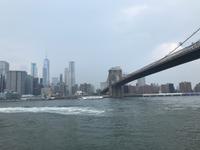 Brooklyn Bridge Park