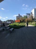 High Line Park