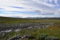 250 Hardangervidda