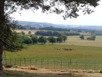 Blick von Killerton Gardens Richtung Dartmoore