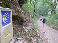 Jakobsweg Wanderung von Arzua bis O Pino (8)