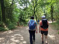 Jakobsweg Wanderung von Arzua bis O Pino (9)