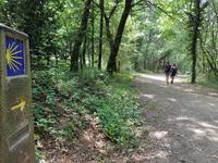 Jakobsweg Wanderung von Arzua bis O Pino (10)