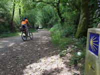 Jakobsweg Wanderung von Arzua bis O Pino (11)