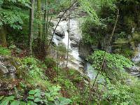 Rindbach-Wasserfälle