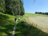 Auf dem Weg zum Gmunderberg