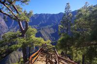 La Caldera - La Palma