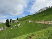 Auf dem Friedrich-August-Weg