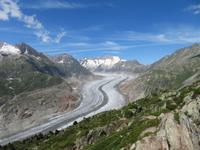 Moosfluh - Blick zum Aletschgletscher
