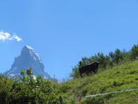 Zermatt - Matterhorn