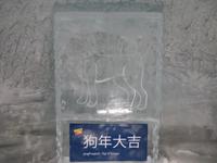 Ausflug zum Jungfraujoch - Eispalast -