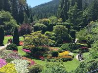 Der versunkene Garten