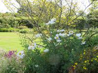 Privatgarten Mrs. Skinner