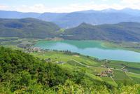 Blick auf den Kalterer See