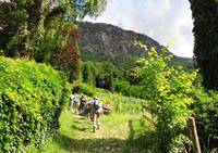 auf dem Schnalser Waalweg