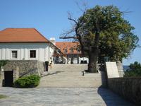 Bratislava: Rundgang/Rundfahrt: Burg