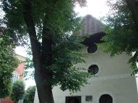 Kežmarok: Artikularkirche