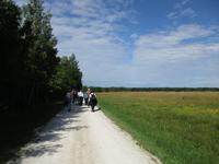 037 Matsalu Nationalpark