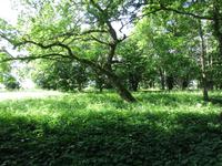 041 Matsalu Nationalpark