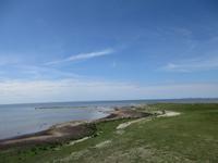 061 Matsalu Nationalpark