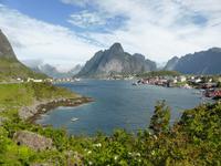 Lofoten - Reine 