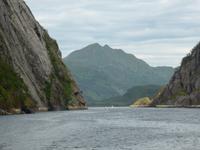 Seeadlersafari - Trollfjord