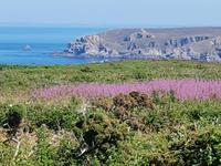 Cap Sizun, Pointe du Van