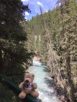 Banff National Park - Johnston Canyon