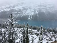 Fotostopp am Peyto Lake
