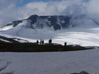 Schnee und Eis auf den Gipfeln am Sognefjell