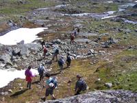 Wanderung auf dem Sognefjell